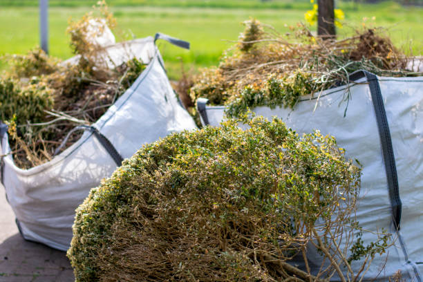 Best Professional Junk Removal  in Happy Valley, CA